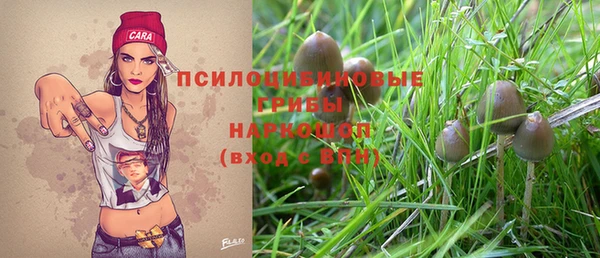 apvp Алзамай
