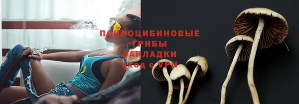 гидропоника Алексин