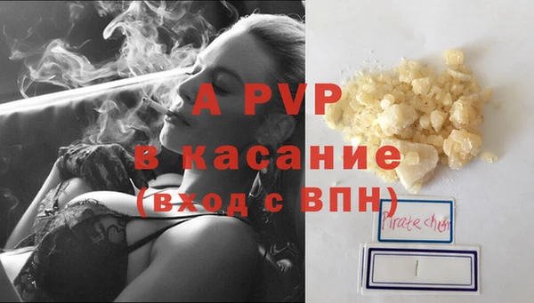 стафф Аркадак