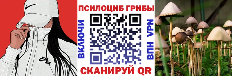 Псилоцибиновые грибы мухоморы купить наркотики сайты Бабаево